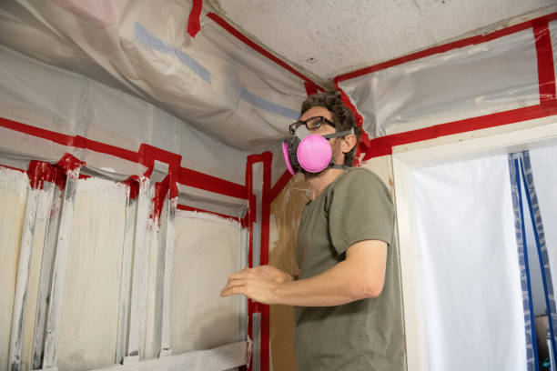 Best Basement Mold Removal  in Beach, ND