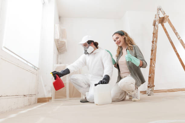 Environmental Consulting for Mold Prevention in Beach, ND